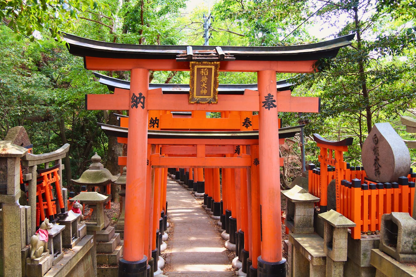 Fushimi Inari torii gates on a Kyoto day trip from Osaka