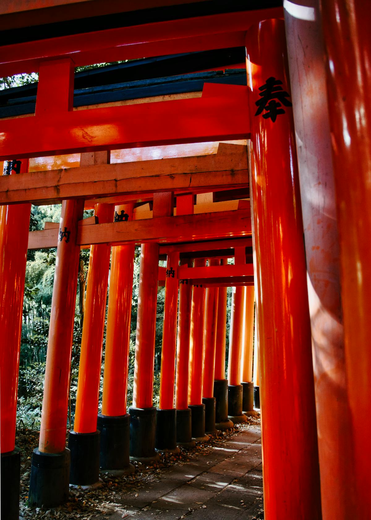 Fushimi Inari Shrine torii gates in Kyoto — the most popular day trip from Osaka