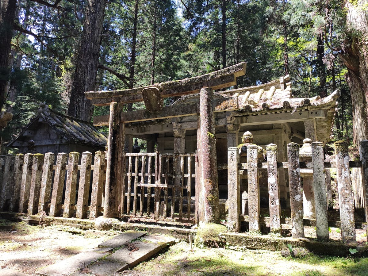 Ancient shrine in forested Mount Koya — a spiritual day trip from Osaka