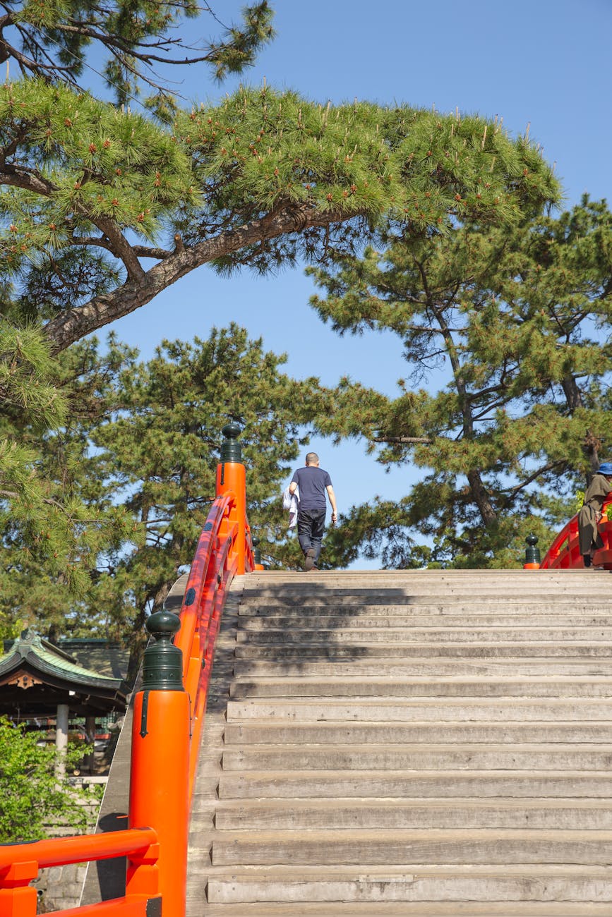 Sumiyoshi Taisha arched bridge (Sorihashi) - historic Osaka temples and shrines landmark