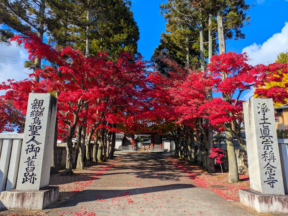 Katsuo-ji Temple autumn foliage Minoo mountains Osaka