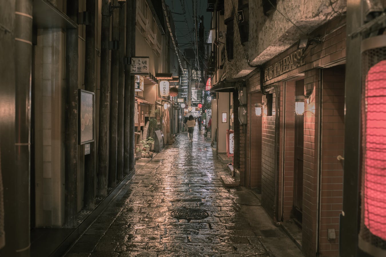 Osaka secret restaurants hidden alley backstreet