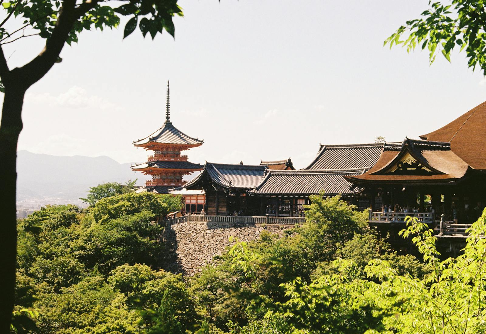 Kiyomizu-dera temple surrounded by green hills on a Kyoto day trip from Osaka