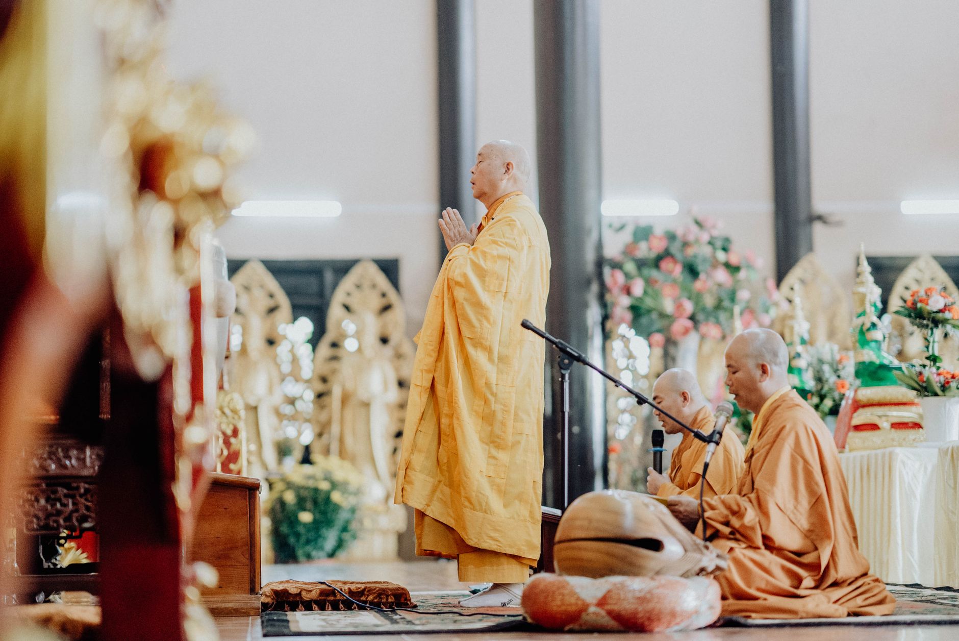 Buddhist monks at a morning prayer ceremony, part of the Mount Koya shukubo temple stay