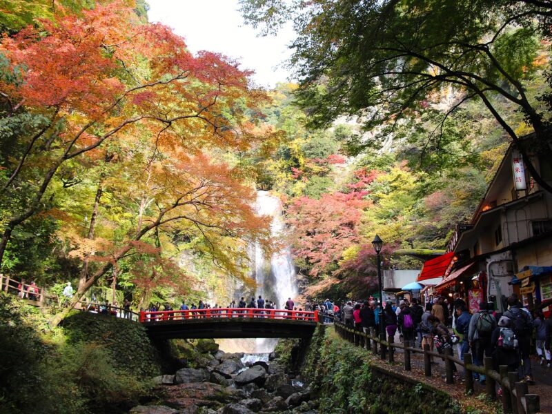 Autumn maples frame Minoo Falls, a red-railed bridge and visitors following the riverside path in Minoo Park.