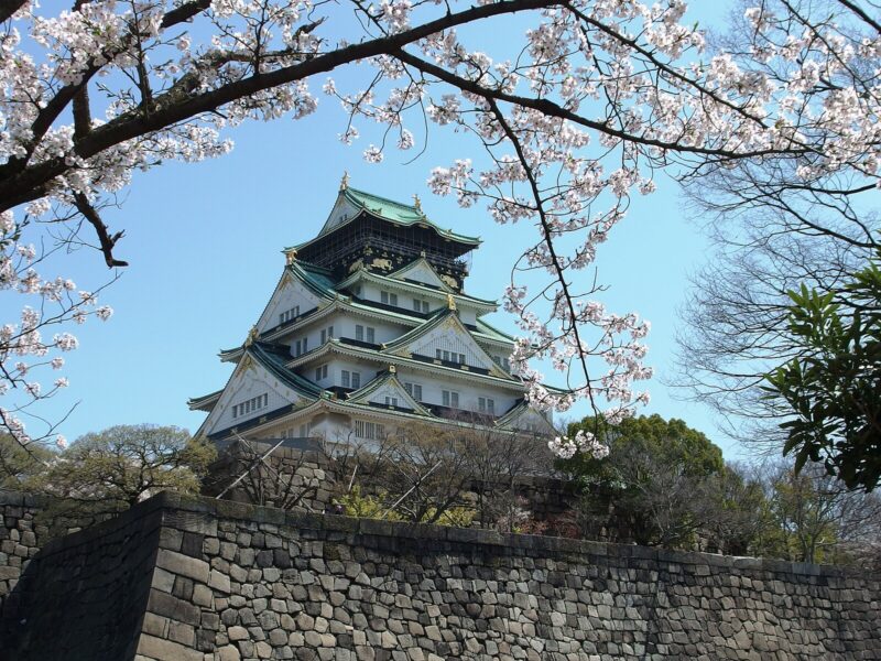 Cherry blossoms arch over Osaka Castle and its stone ramparts beneath a clear blue sky.