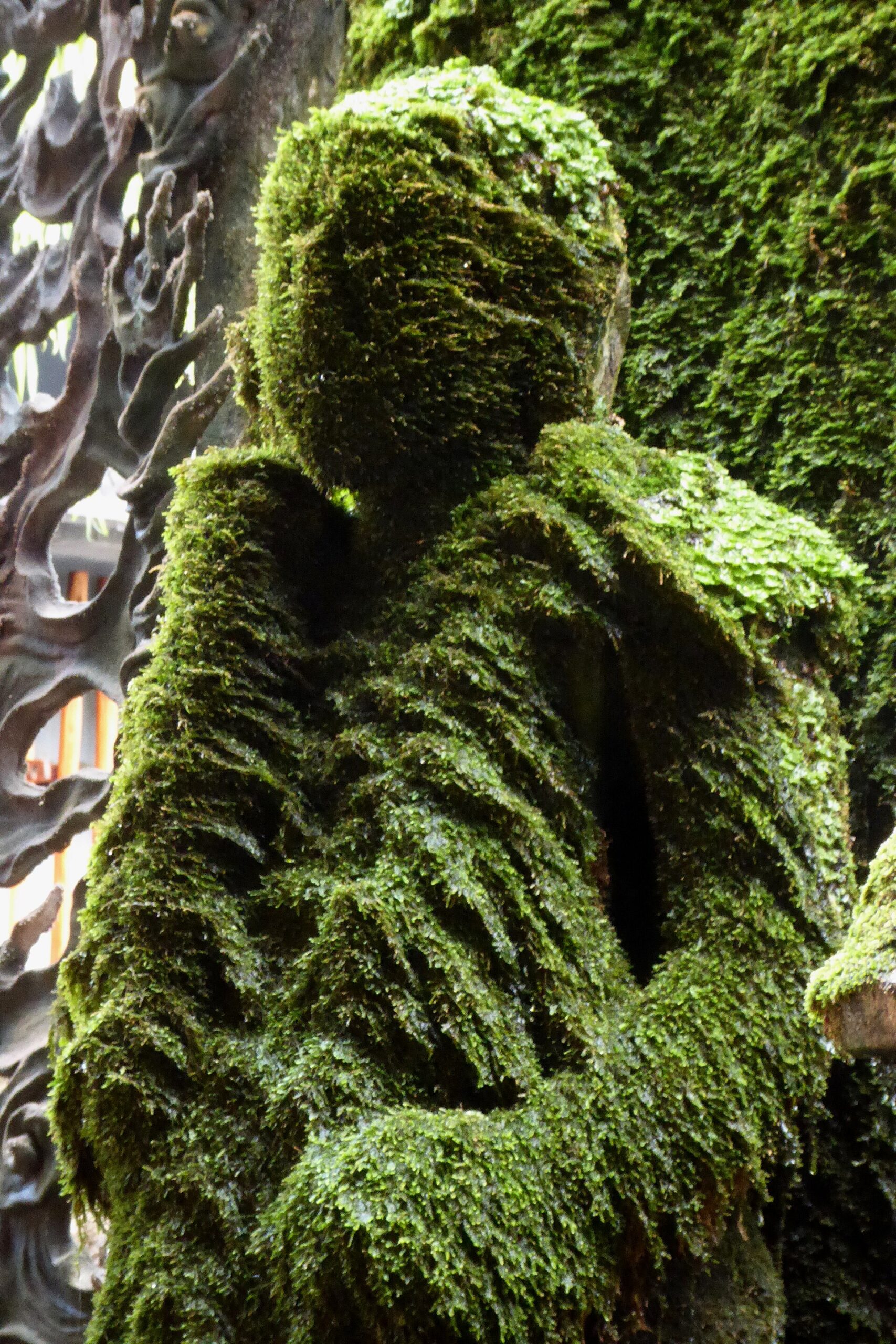 Dense green moss covers the face, arms, and robe of Hozenji’s Mizukake Fudo statue in Osaka, beside its sculpted flame backplate.