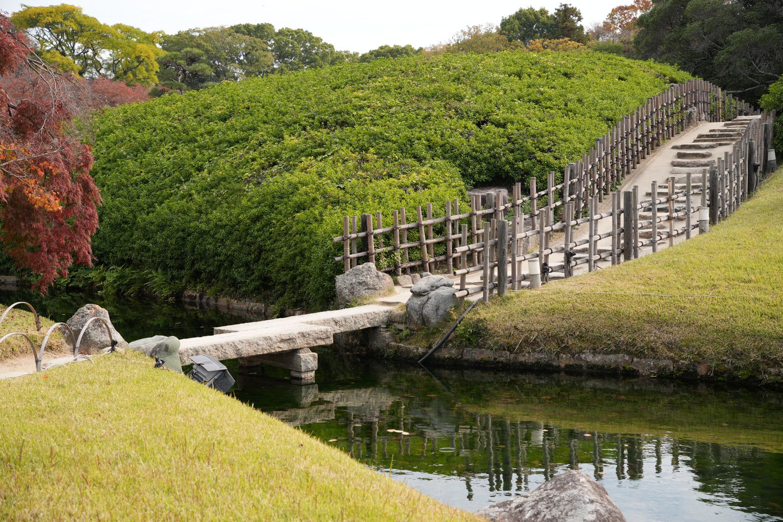 A stone slab bridge over a pond in Okayama Korakuen, with clipped green hedges, a wooden fence and red autumn maples