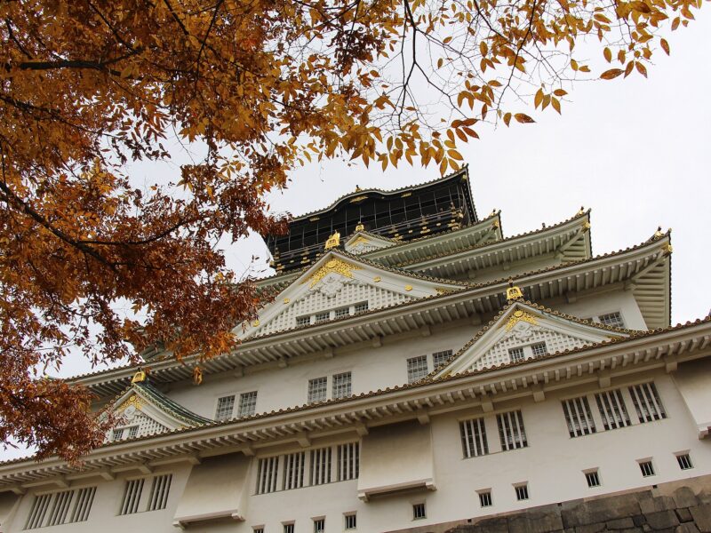 Orange autumn leaves frame Osaka Castle's white walls, layered roofs and gold details beneath an overcast sky.