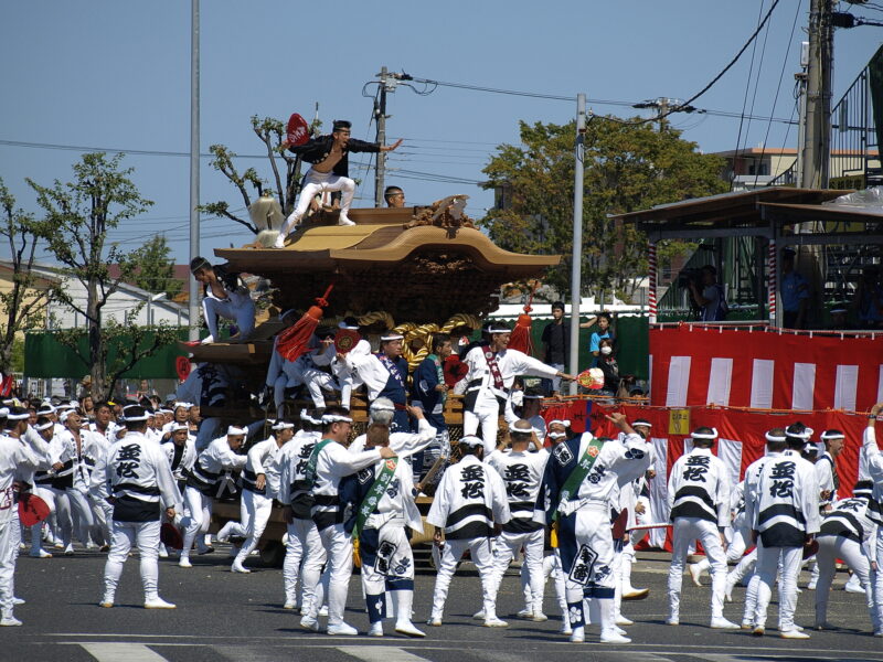A performer balances on a wooden float above white-clad participants at Kishiwada Danjiri Matsuri in Osaka Prefecture.