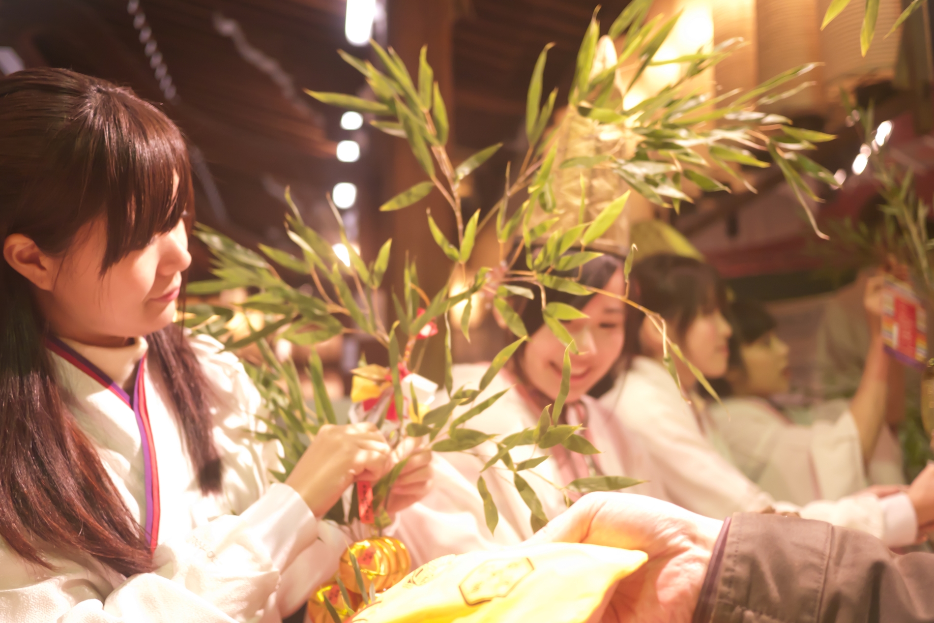 Shrine attendants decorate leafy lucky bamboo with gold and red charms at Imamiya Ebisu Shrine's festival in Osaka.