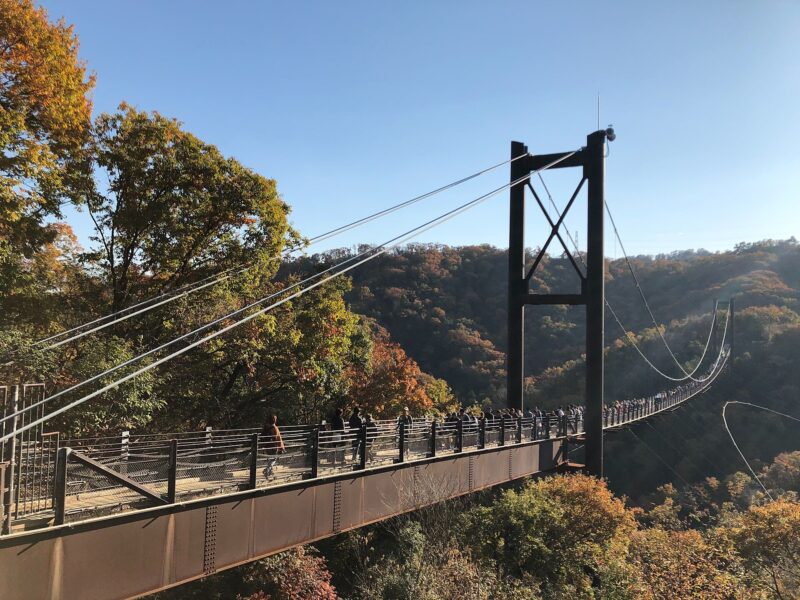 Visitors cross Hoshi-no-Buranko suspension bridge above the autumn-colored wooded valley in Hoshida Park, Katano, Osaka Prefecture.