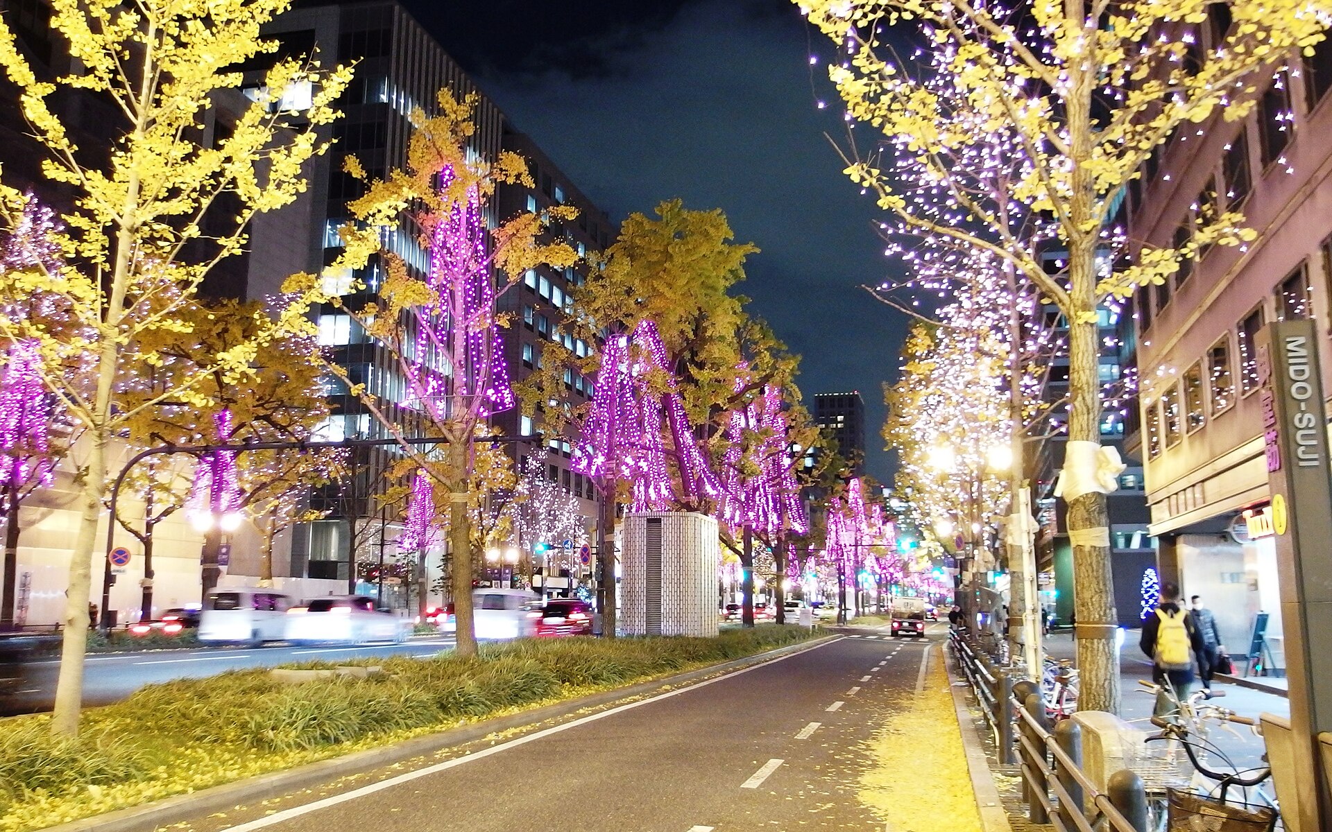 White and magenta lights brighten golden ginkgo trees beside traffic and pedestrians on Osaka's Midosuji boulevard.